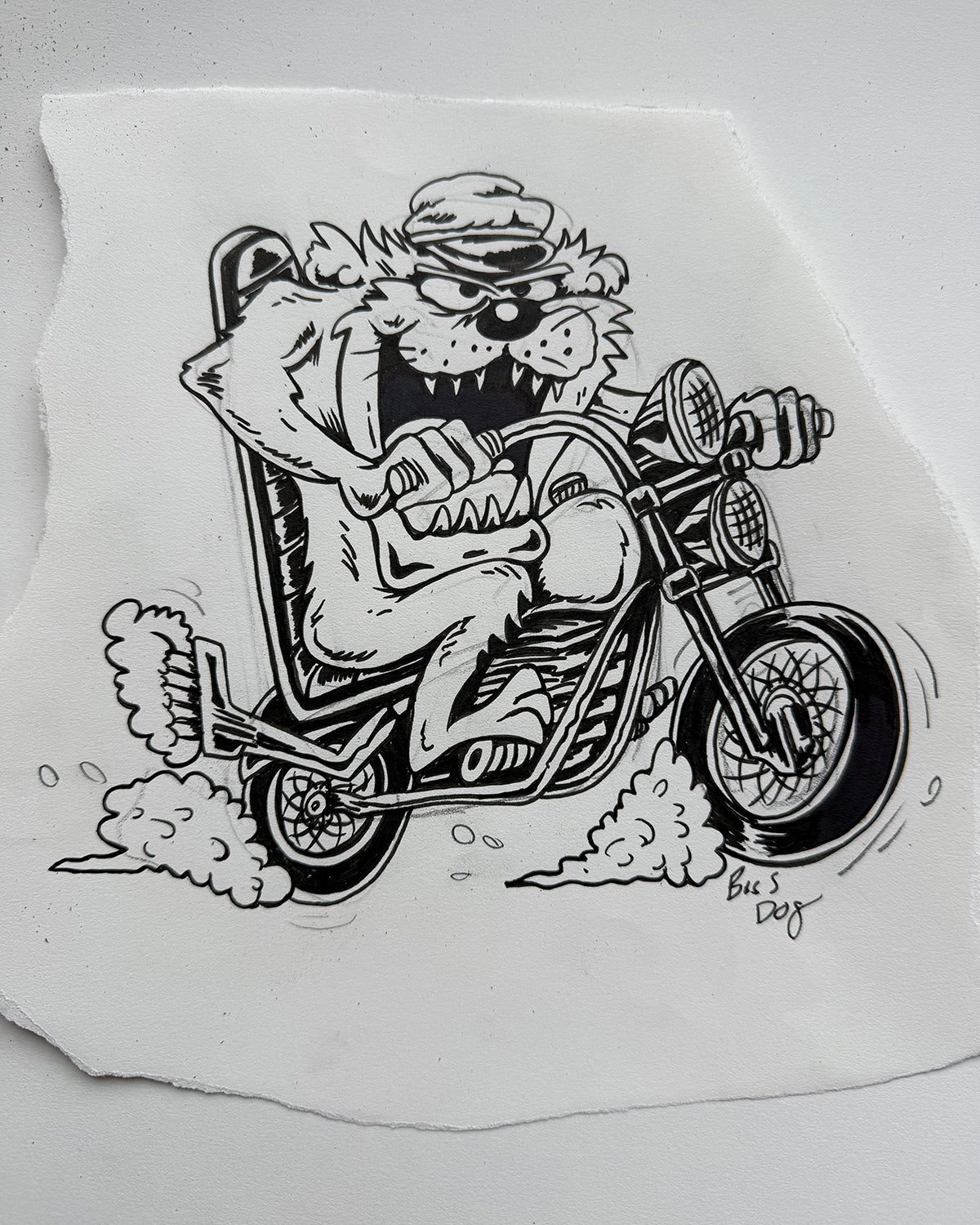 Taz Sketch